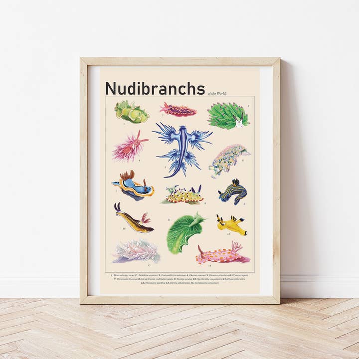 Nudibranchs of the World Poster for wholesale by Lemon Damsel