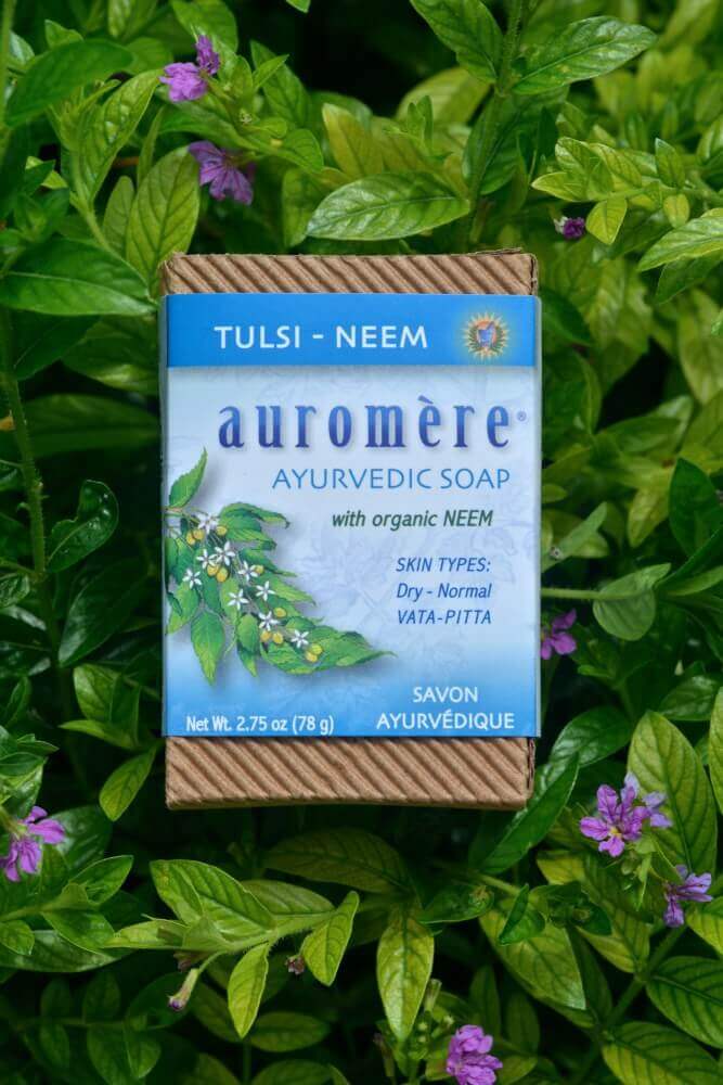 Auromere Ayurvedic Imports - Wholesale Bar Soap - Tulsi-Neem Ayurvedic Soap2