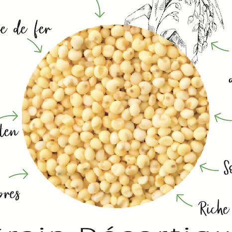 Gierstpap (biologisch en glutenvrij) - 500 g voor wholesale door ORI SAS