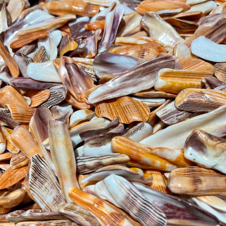 Craftstones - Wholesale Spiritual Stone/Crystal - Mano De Lion Orange Shell Rims