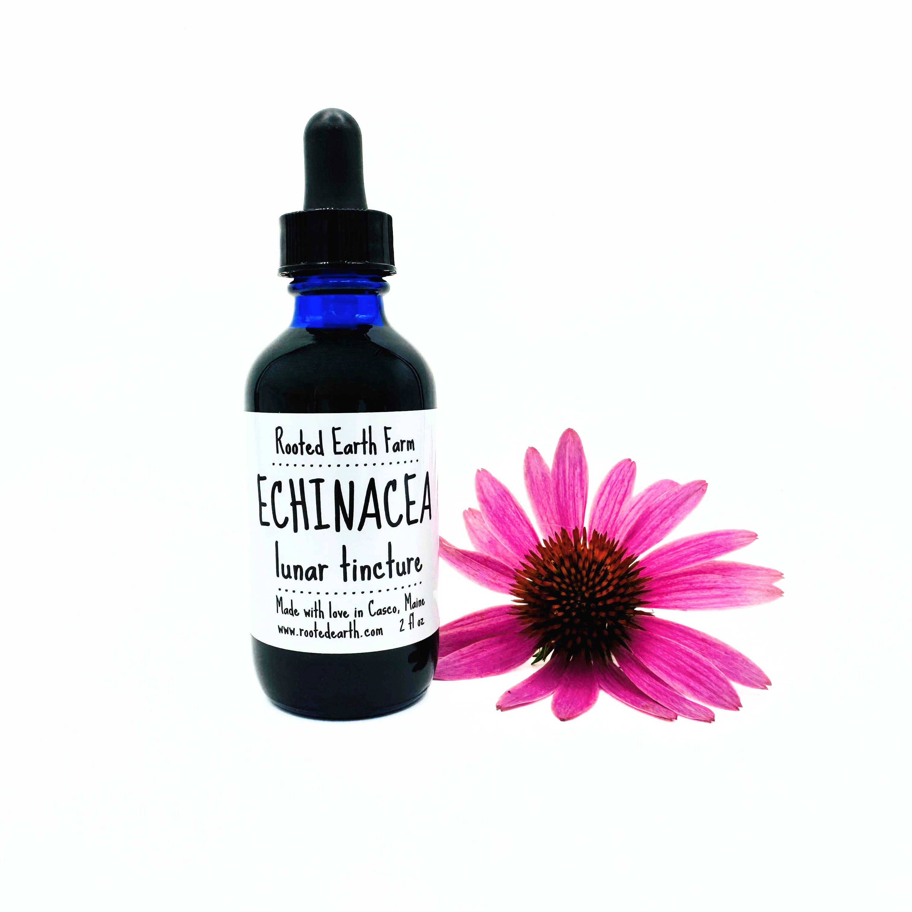 Rooted Earth Farm + Apothecary - Wholesale Tincture - Echinacea Tincture - 2 Size Options1