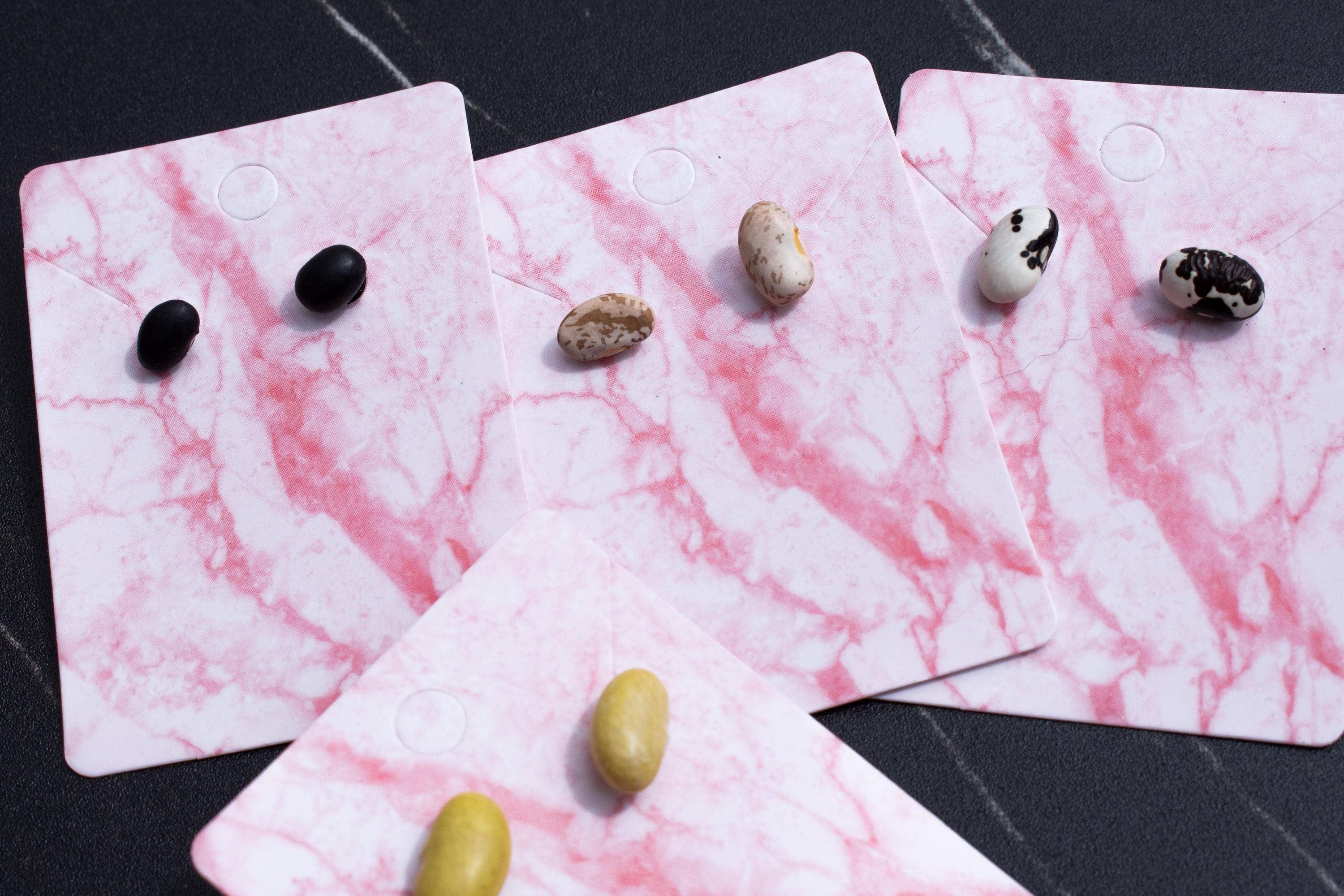 Shutterhaus – wholesale Hängande örhängen – Organiska torkade svarta bönor hypoallergena örhängen6