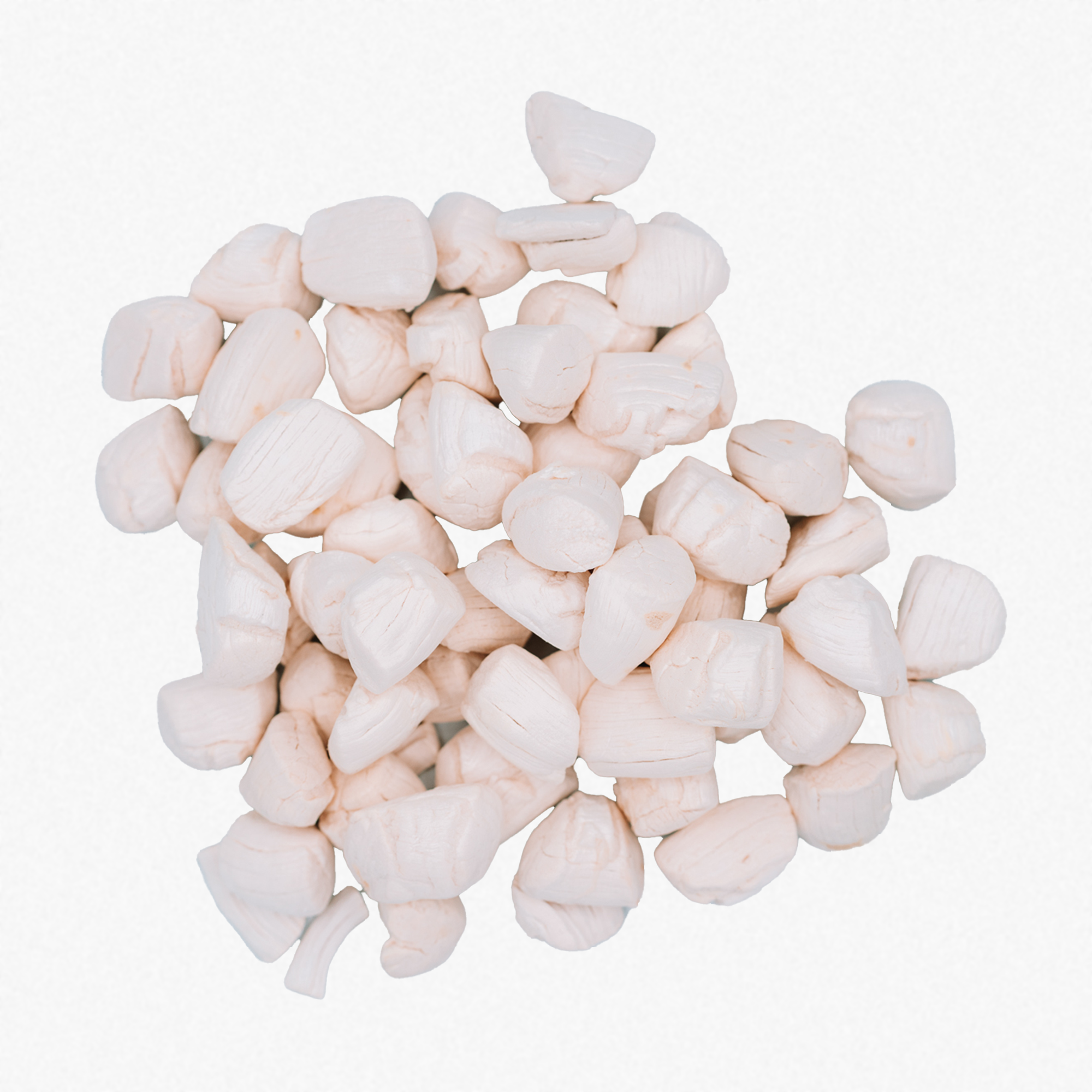 Wild n Fresh Treats - Wholesale Pet Treats - Dog - Freeze-Dried Scallops1