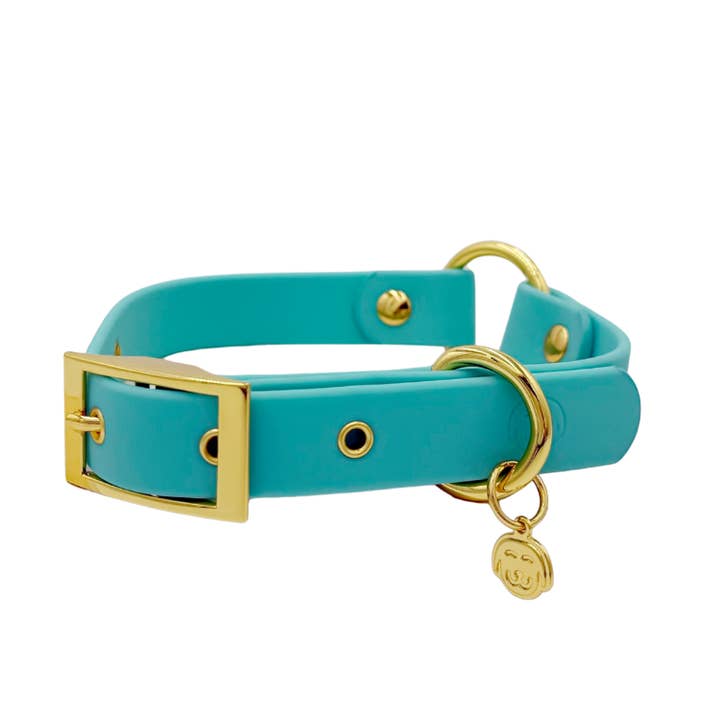 Molly - Splashproof Dog Collar for wholesale by Molly & Co.
