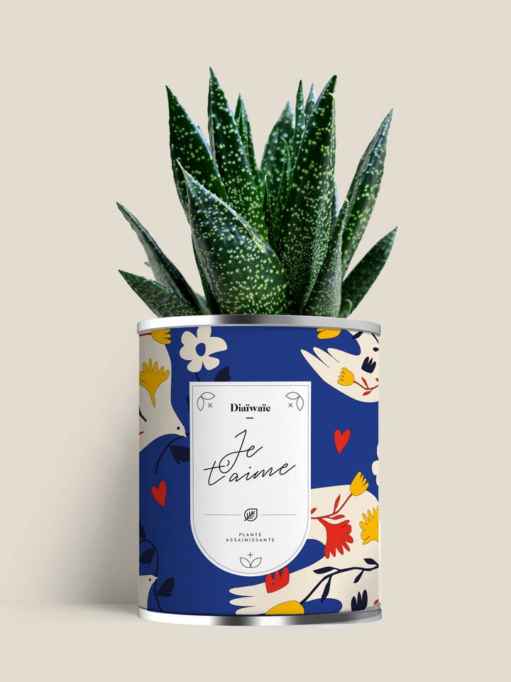 I LOVE YOU - Aloe oder Kaktus für den Großhandel von Diaiwaie