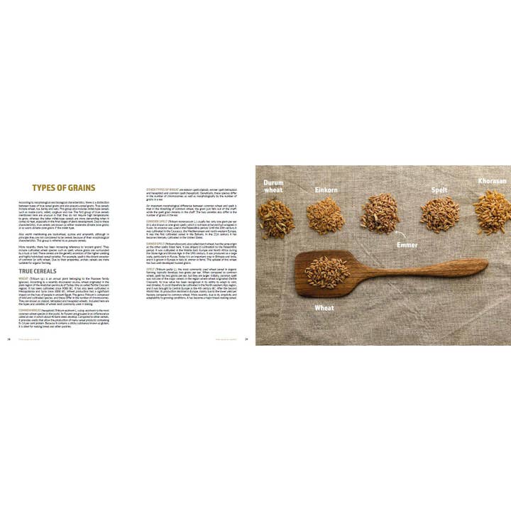 Casemate IPM - Wholesale Baking & Dessert - Sourdough Mania6