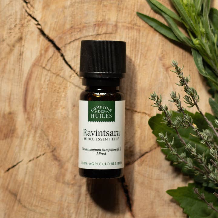 COMPTOIR DES HUILES - Wholesale Essential Oil - Ravintsara Essential Oil ORGANIC1