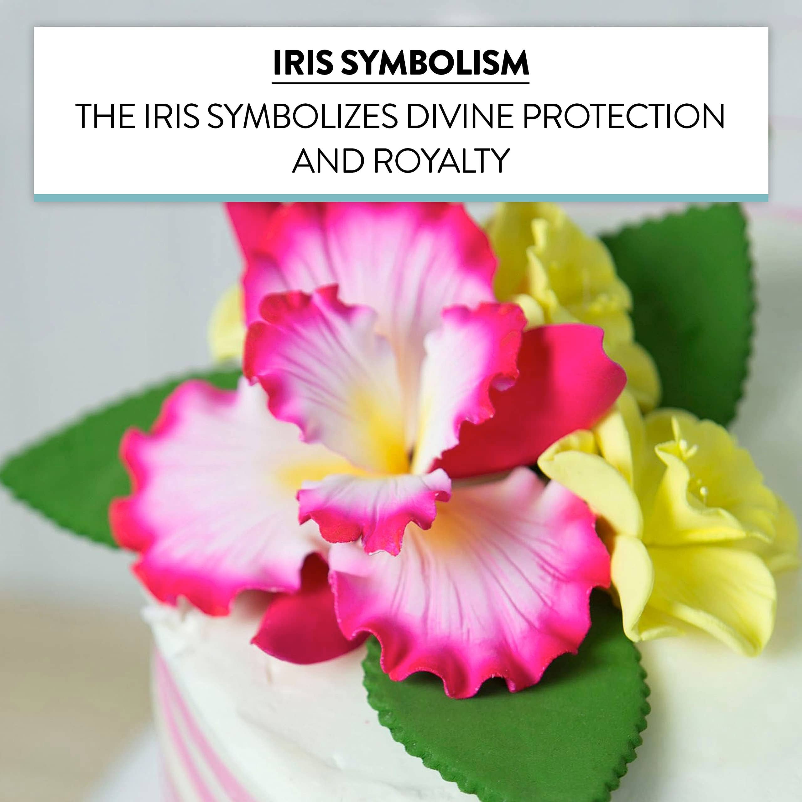 Global Sugar Art - Wholesale Cake/Cupcake Topper - Dutch Iris Sugar Cake Flower, Cake Topper by Global Sugar Art, Pink1