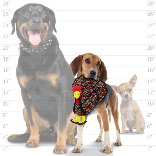 Tuffy Dog Toys - VIP Products - Wholesale Pet Squeaky Toy - Dog - Tuffy Jr Barnyard Turkey, Durable, Tough, Squeaky Dog Toy4