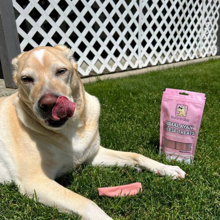 Teddy the Dog - Wholesale Pet Treats - Dog - Medium Himalayan Strawberry Cheese Bar - Chew Bar3