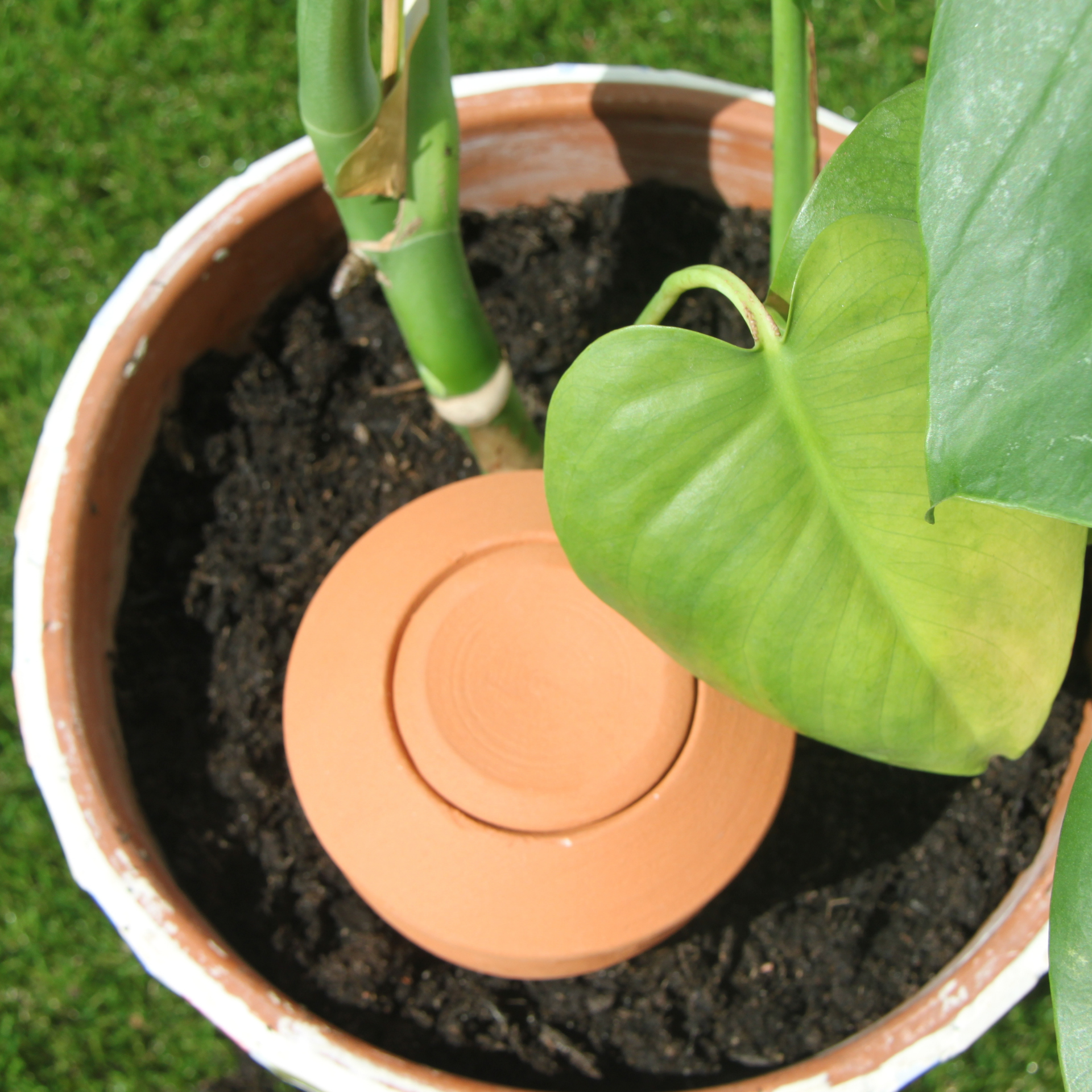 Poterie lutton - Wholesale Watering Can - Ollas Bolet9