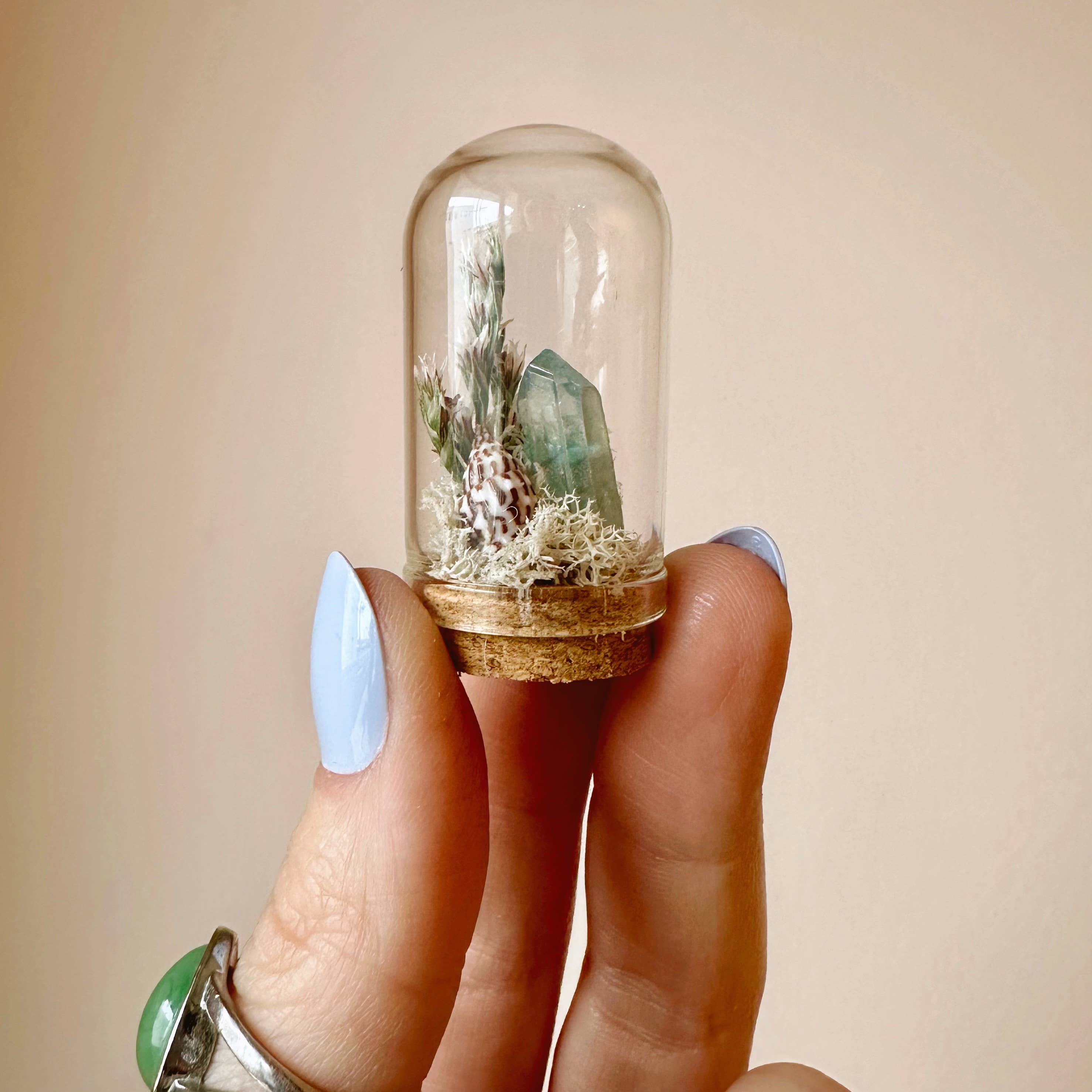 CA Studios - Wholesale Terrarium - Beach Mix Mini Terrarium Crystal Ocean Curiosity Jar6