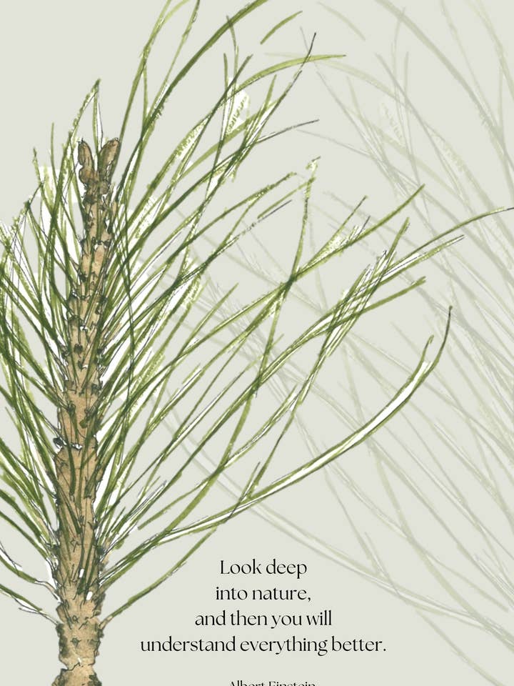 Pijnboom wenskaart voor wholesale door Leafy Lexicon