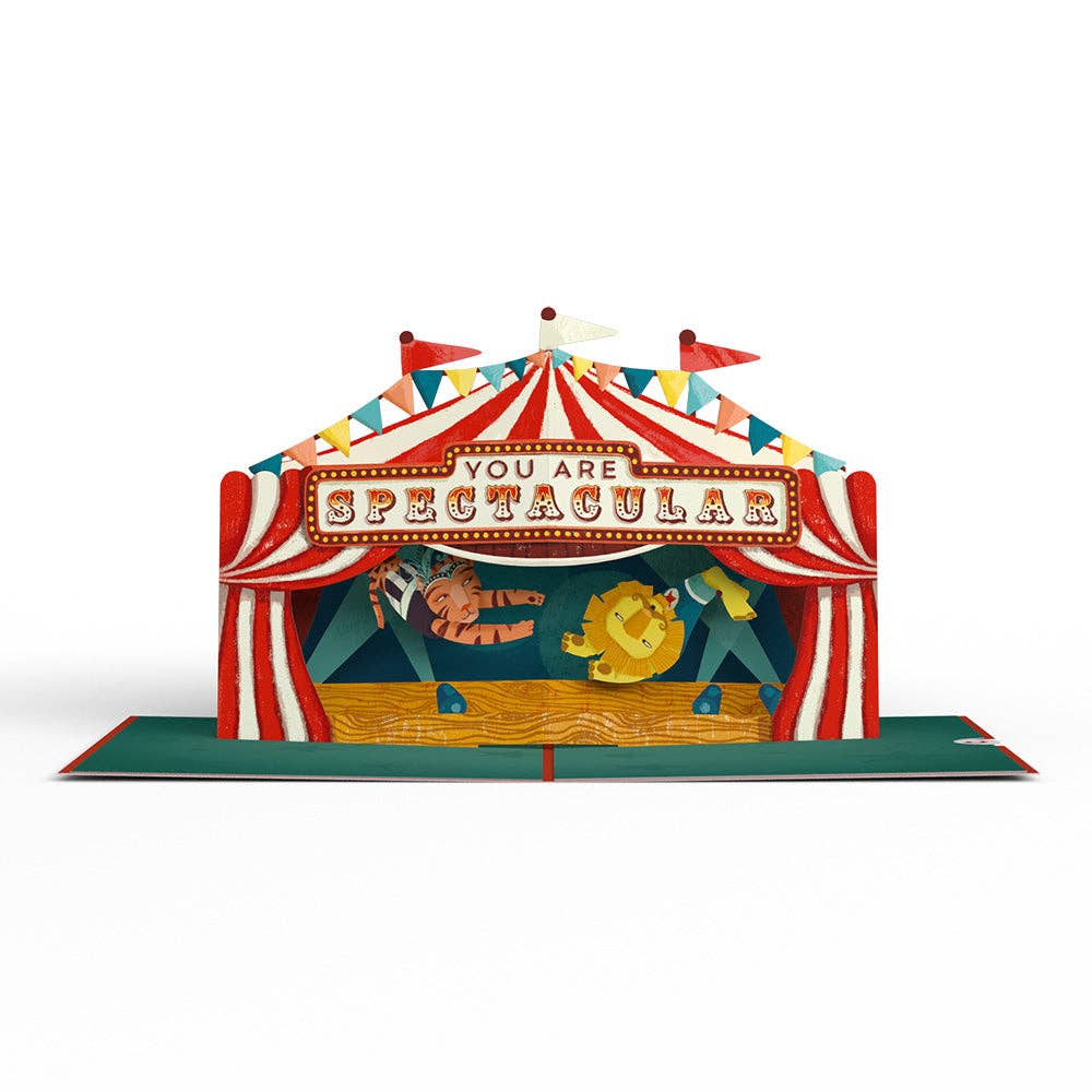 Lovepop Cards - Wholesale Congratulations Card - Congrats, You Are Spectacular 5''x7'' Card, Pop-Up Cards3