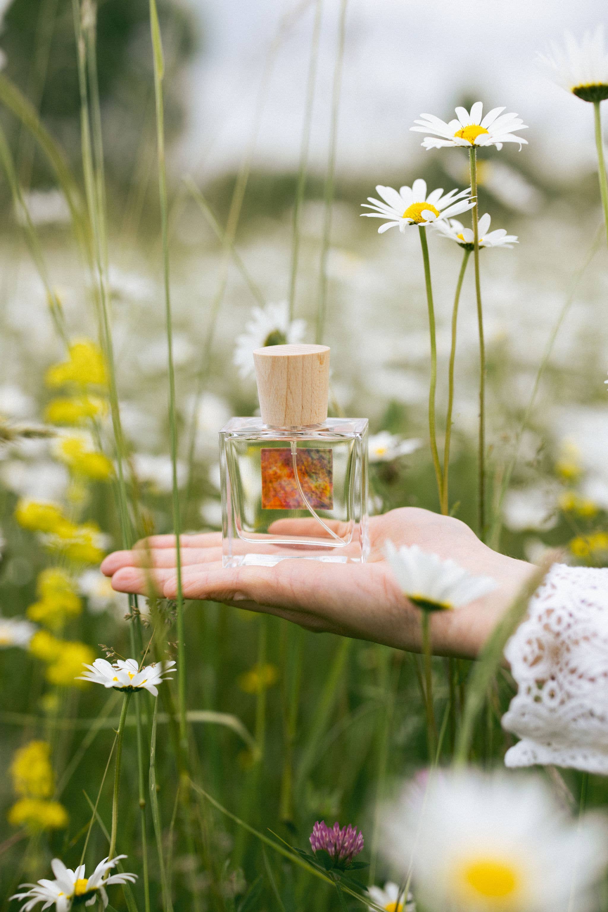 Poécile - Wholesale Perfume/Eau de Toilette - Eau de parfum - Arcadie Florale - Provence1