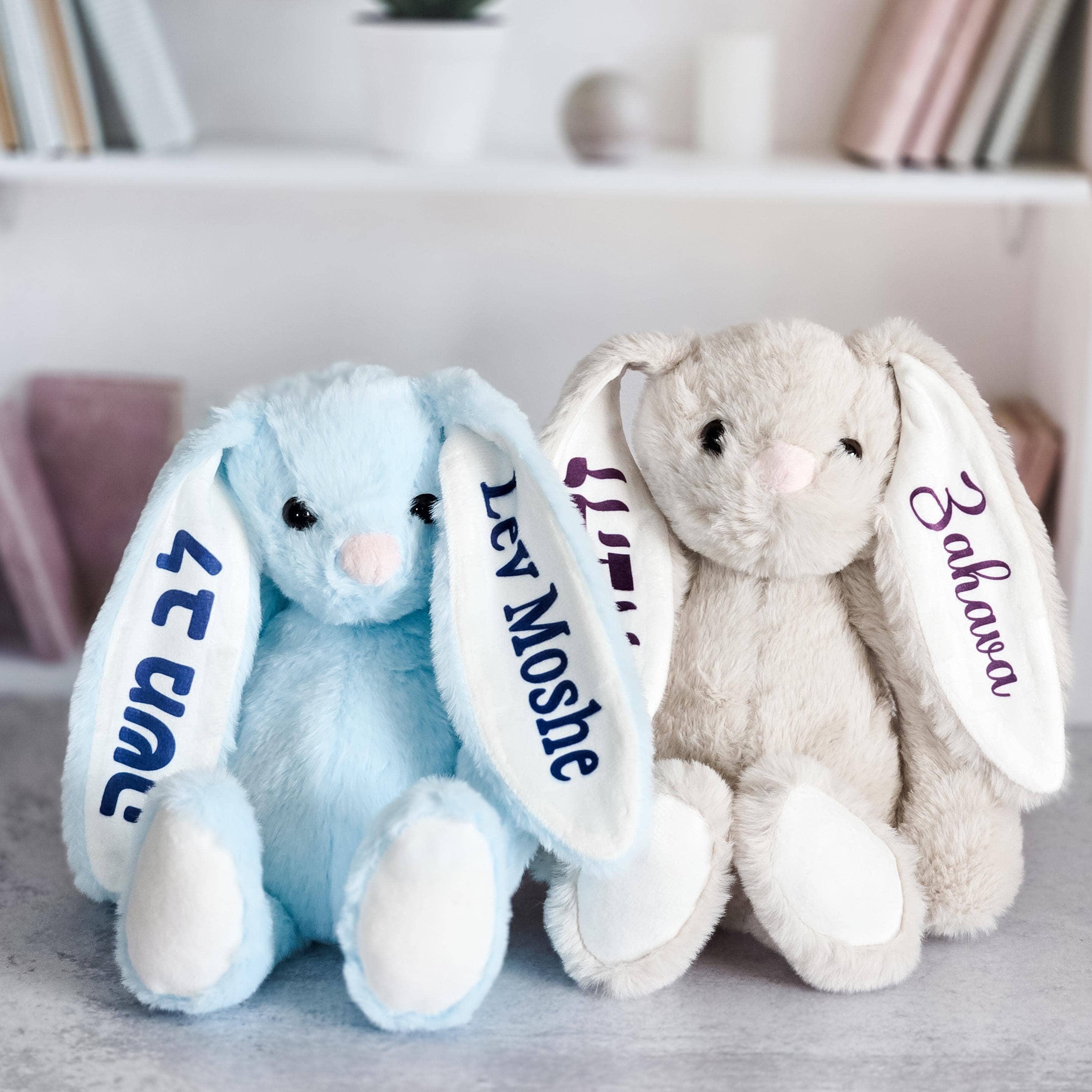 Salt Sparkle Shalom - Wholesale Stuffed/Plush Toy - Kids & Baby - Chanukah Bunny in English or Hebrew for Kids5