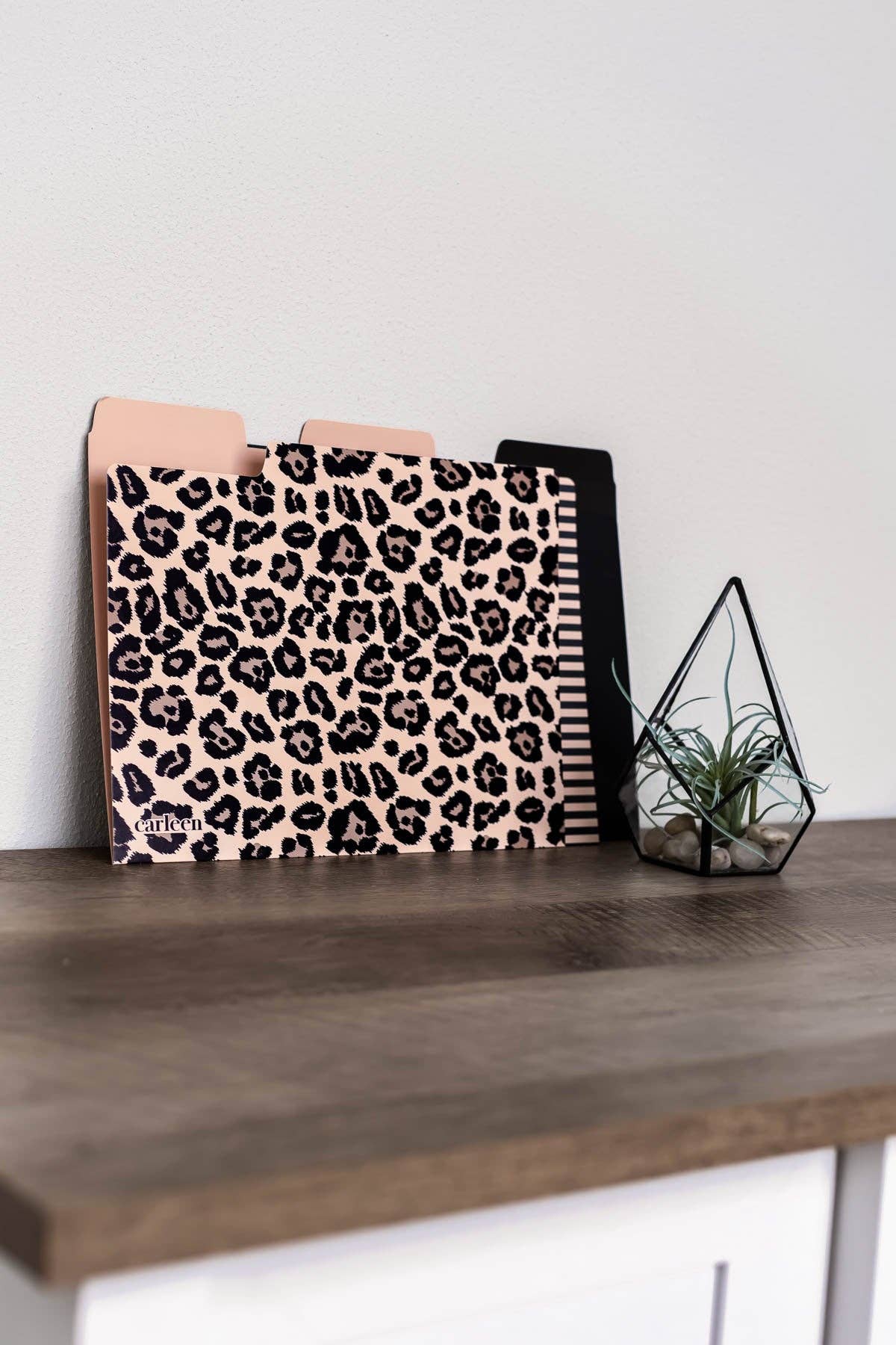 Carleen Creative - Wholesale Folders - 3-Pack File Folder Set - Leopard Print3