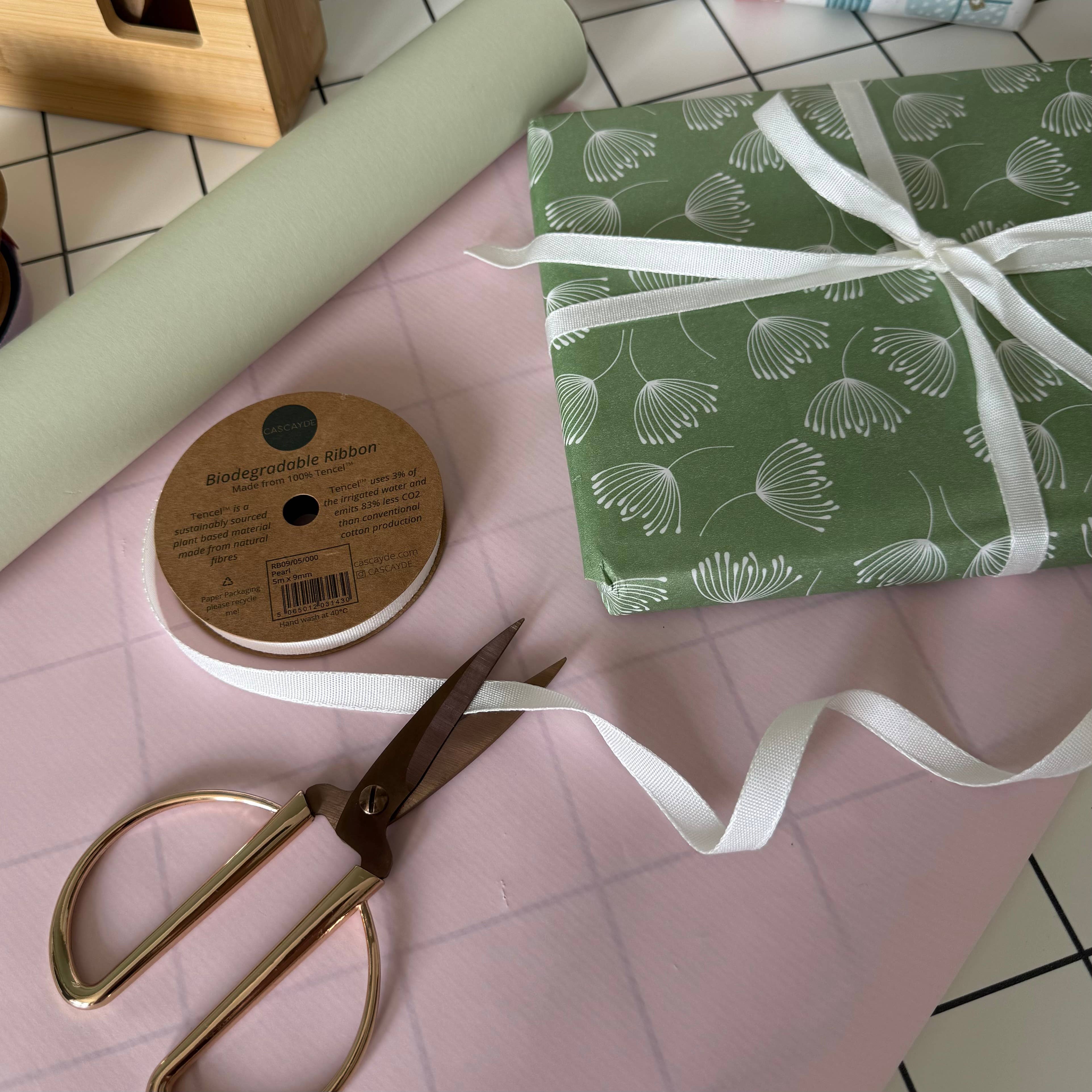 Cascayde - Wholesale Ribbon - Gift Wrapping - Pearl White Biodegradable Ribbon 5m Reel (9mm)3