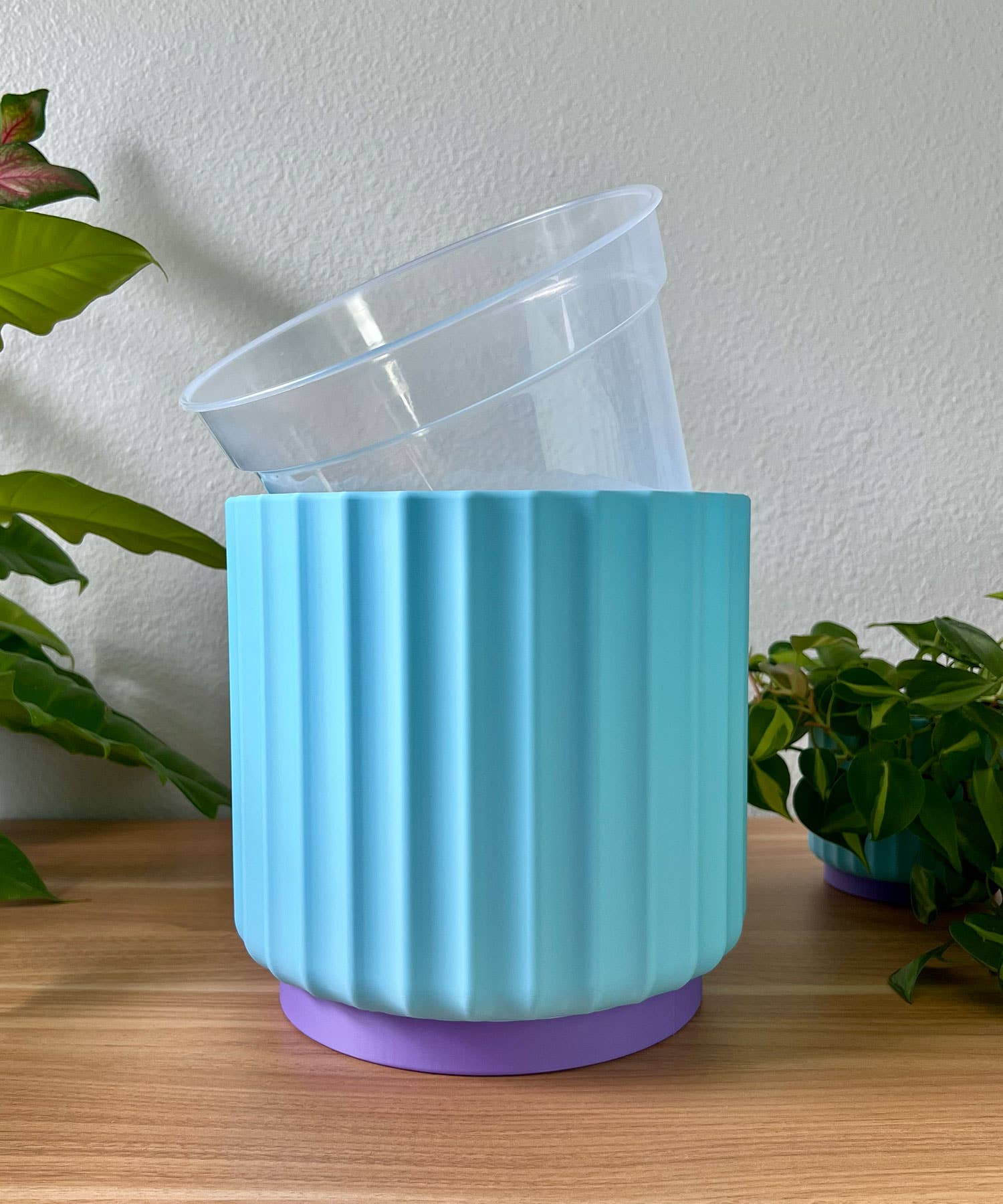 Daisy Wood Design - Wholesale Plant Pot - Bold Color Pop 8" Planters – Colorful Dreamhouse Singles5