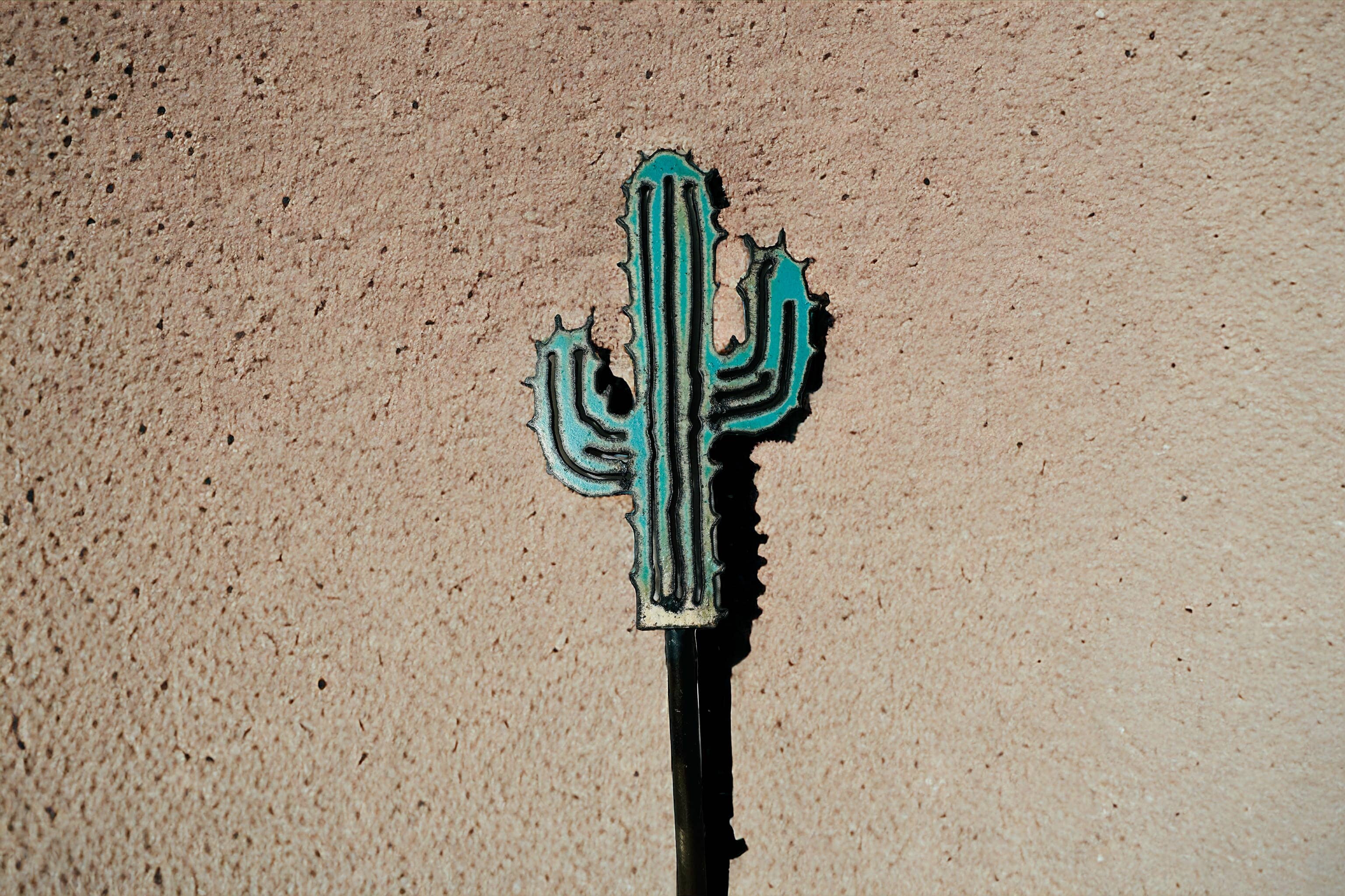 Whimsies - Wholesale Garden/Lawn Stake - Cactus garden stake southwestern plant stake Western garden1