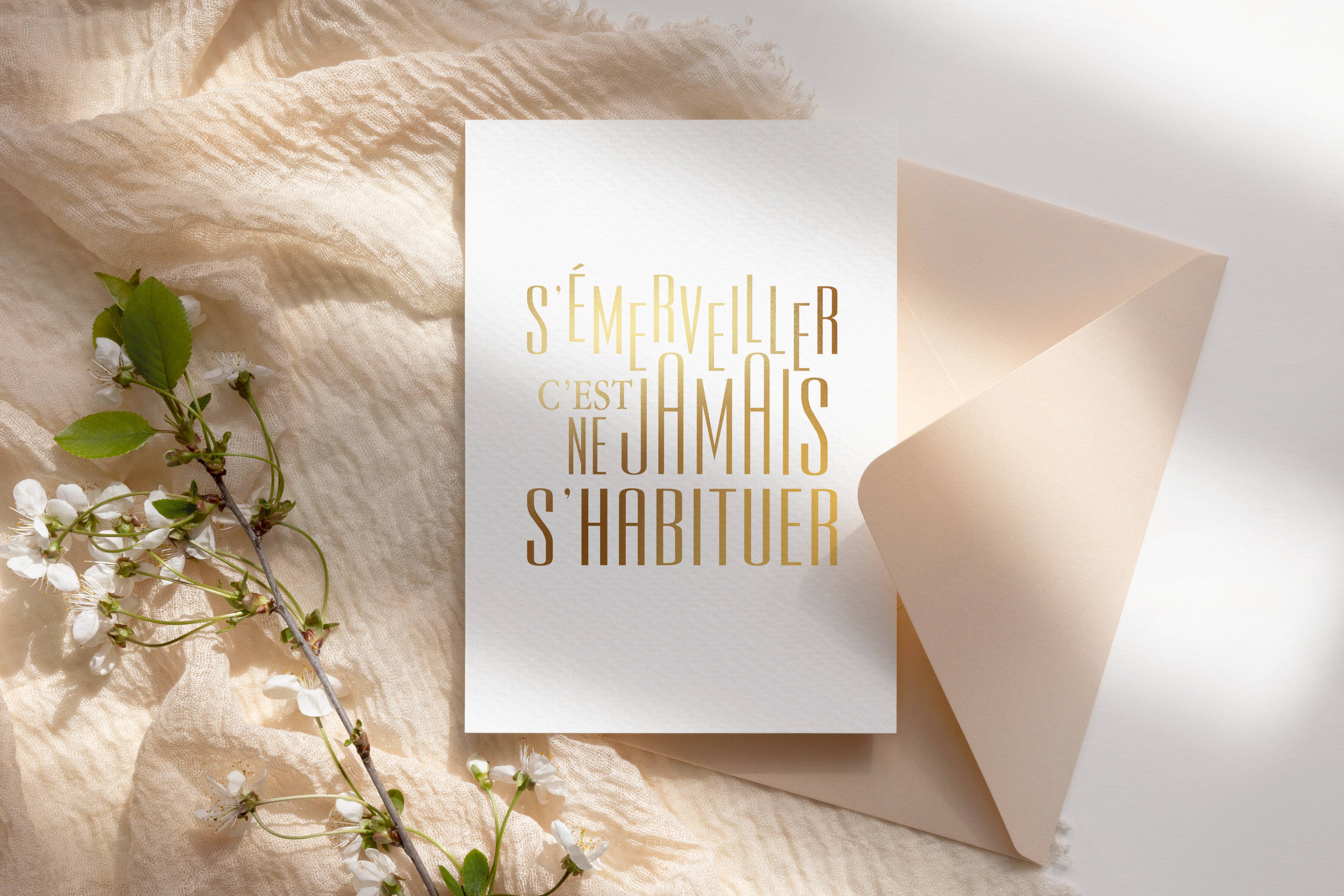 Le Papier Fait De La Résistance - Wholesale Postcard Set - SET of 5 postcards + 5 kraft envelopes6