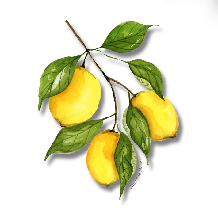 Lemon Sticker for wholesale by Amy Rae Maker