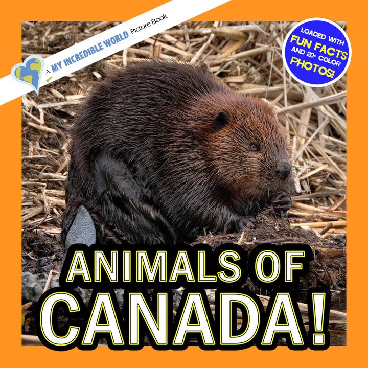 My Incredible World - Vendita all'ingrosso Libro - Bambini - Animali del Canada! Un libro illustrato del mio incredibile mondo per bambini