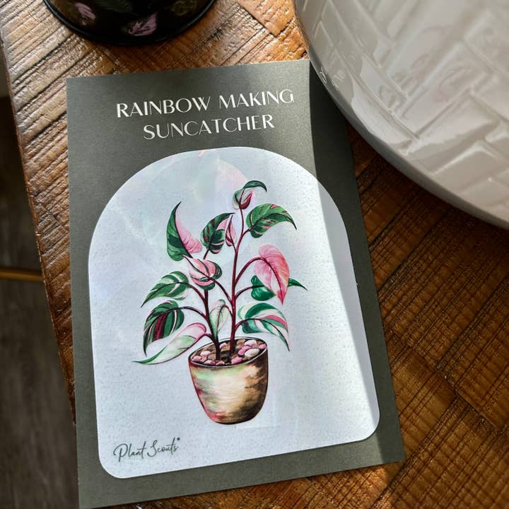 Plant Scouts - Wholesale Suncatcher - Rainbow Making Suncatcher Window Decal - Pink Princess2