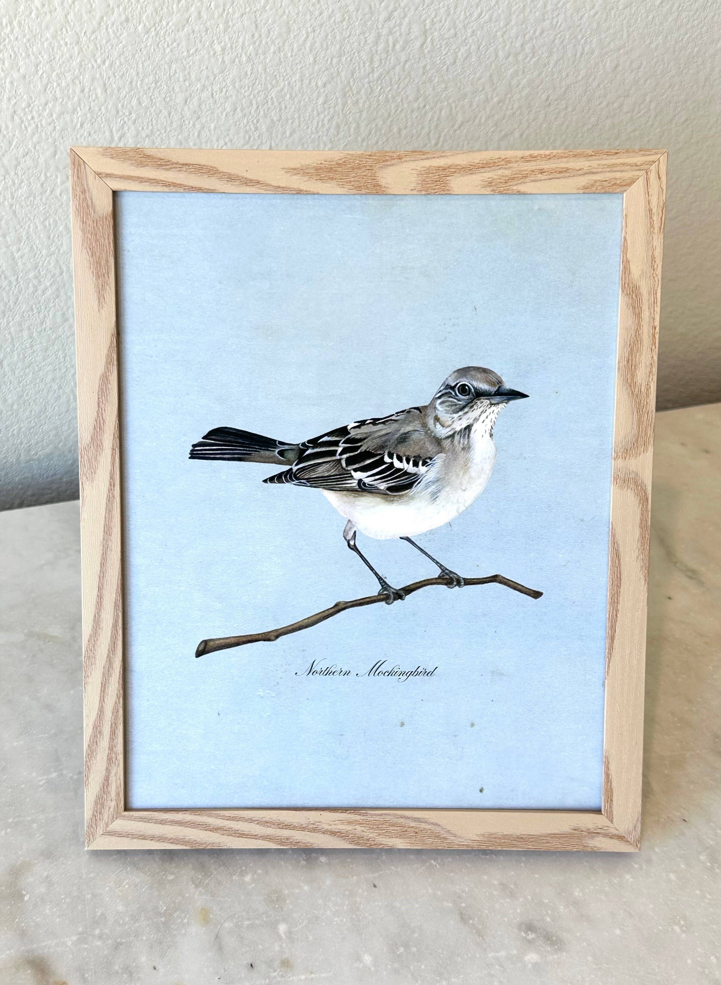 Gilded Palms - Wholesale Art Print - Northern Mockingbird on Blue Print2