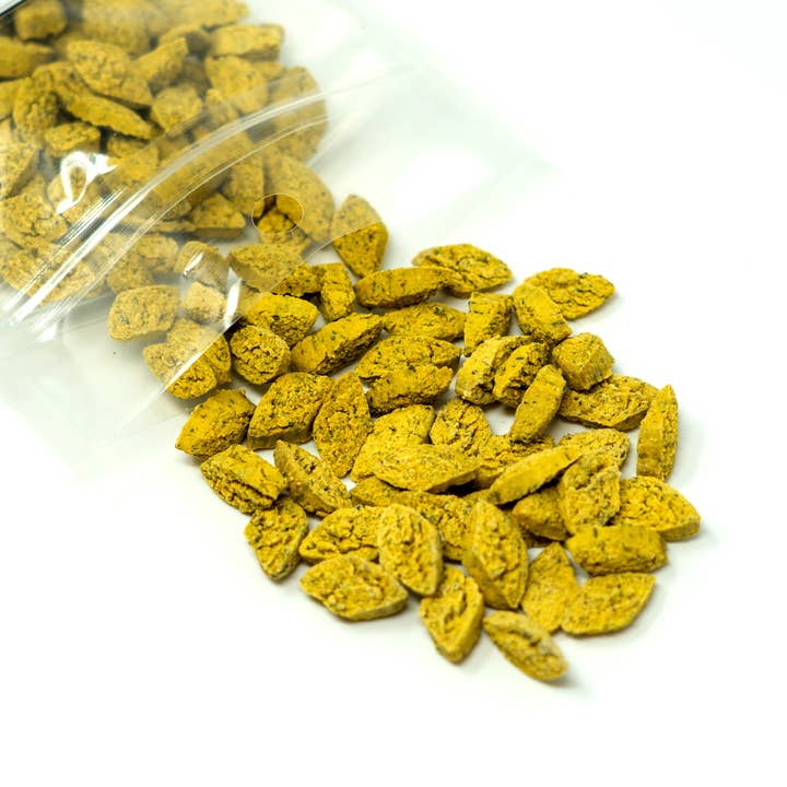 No Furries Delights - Wholesale Pet Supplement - Not Cat/Dog - Pumpkin Cilantro Bites (50g | 1.76oz)