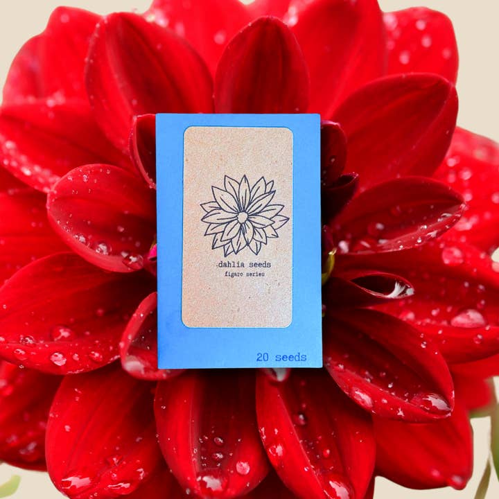 Container Garden Flower Seeds for wholesale by Plantflix