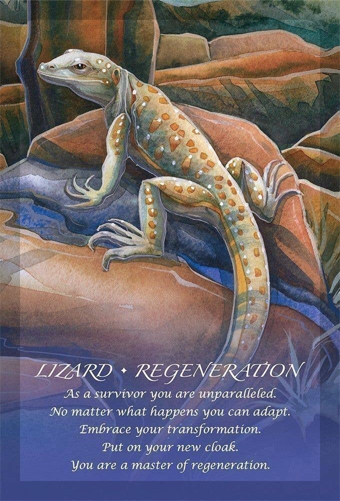 Cardshouse - Wholesale Tarot Cards - Spirit Of The Animals Oracle Cards Us Games Systems9