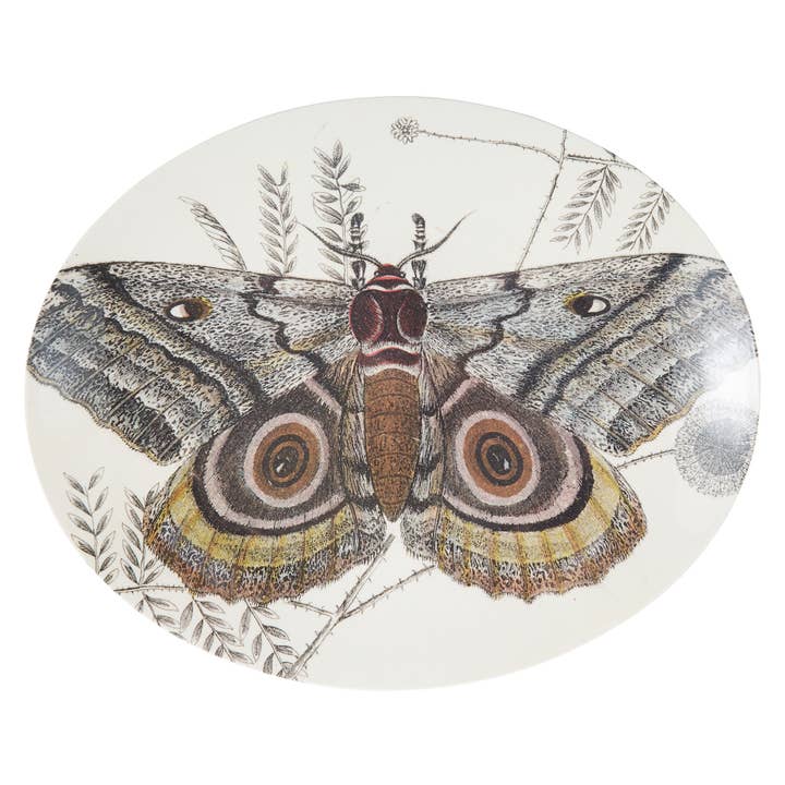 Siren Song - Wholesale Serving Tray - Specimen Large Oval Tray0