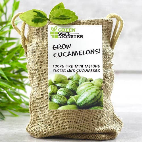 BEEcycle – wholesale Plant seeds – Grow Your Own Mini Melons Set