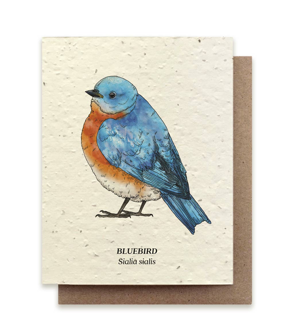 Small Victories - Wholesale Everyday Greeting Card - Bluebird Plantable Wildflower Seed Card0