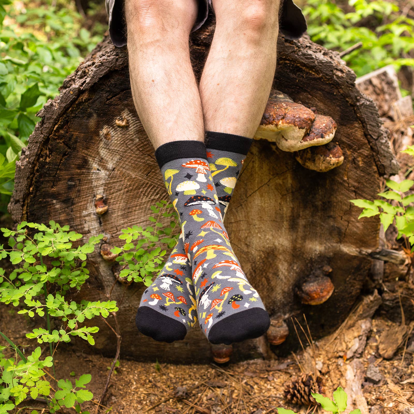 Lavley - Vendita all'ingrosso Calzini - Uomo - Calzini Funghroom Fun Guy6