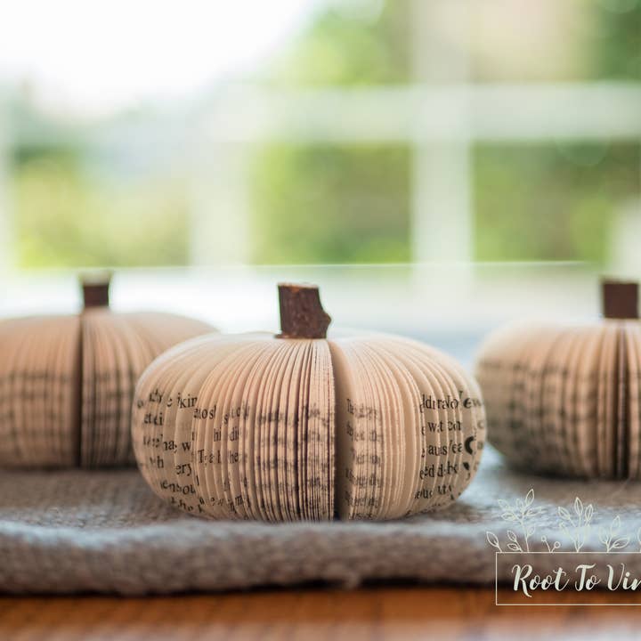 Root To Vine – Großhandel Tischdeko – Herbstdeko Buch Kürbis Cutie – Halloween Deko für Buchliebhaber2