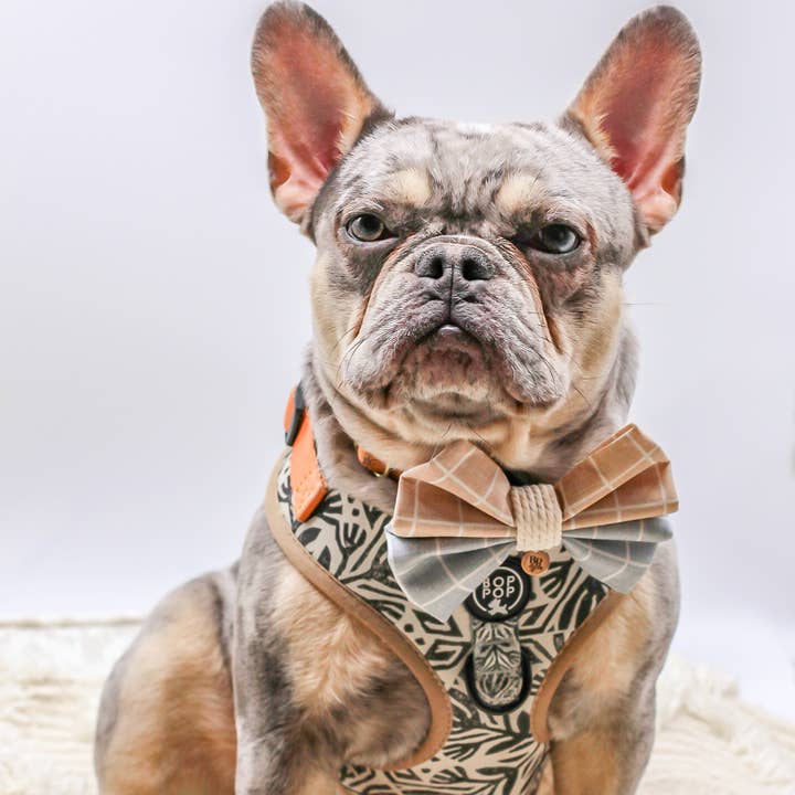 Bop Pop Pets - Wholesale Pet Harness - Dog - TIERRA LUNA Dog Harness8