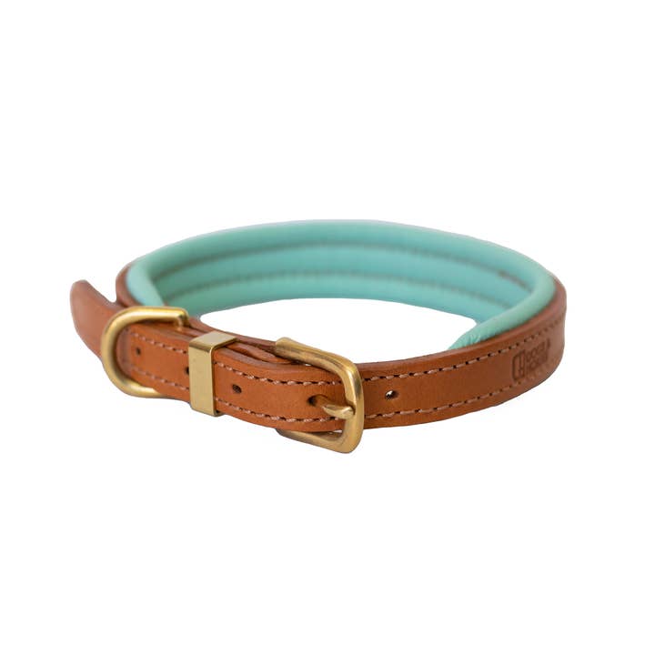 Dogs and Horses – wholesale Pet collar – Dog – Padded Leather Dog Collar Tan and Aqua