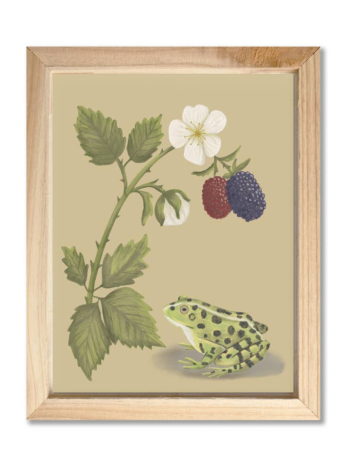 Impression d'art Grenouille & Mûres 20 cm x 25 cm pour la vente par Lucid Moon Studio, LLC
