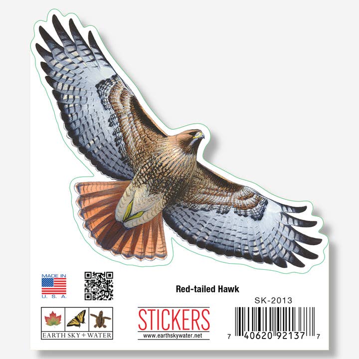 Red-tailed Hawk Nature Sticker, 3.5" wide for wholesale by Earth Sky + Water