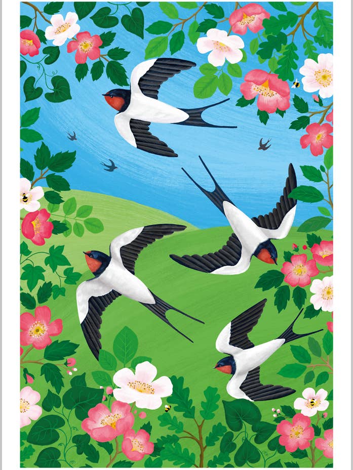 Vuelo de las golondrinas para venta al por mayor de Abacus Cards and Clare Maddicott Publications