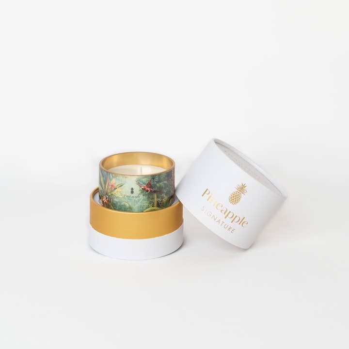 PINEAPPLE SIGNATURE - Wholesale Jar/Filled Candle - 100% Vegetable Wax Scented Candle - Wild Life Decor