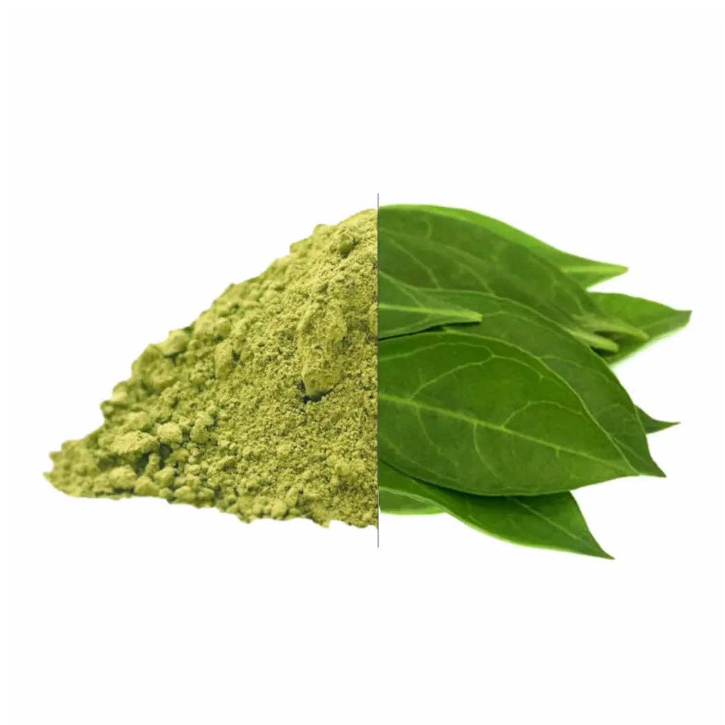 Aromachology - Wholesale Hair Dye - Henna Powder1