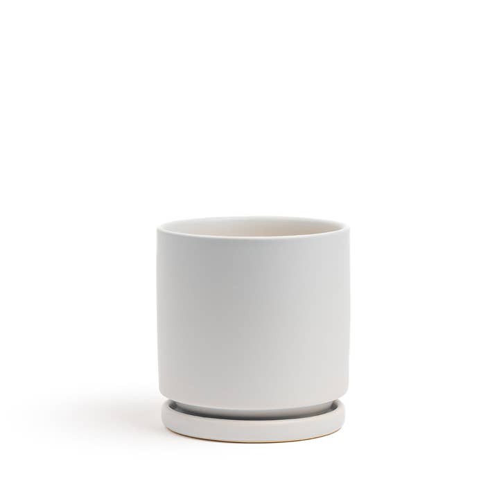 Momma Pots - Wholesale Plant Pot - 10.5" Gemstone Cylinder Pots with Water Saucers19