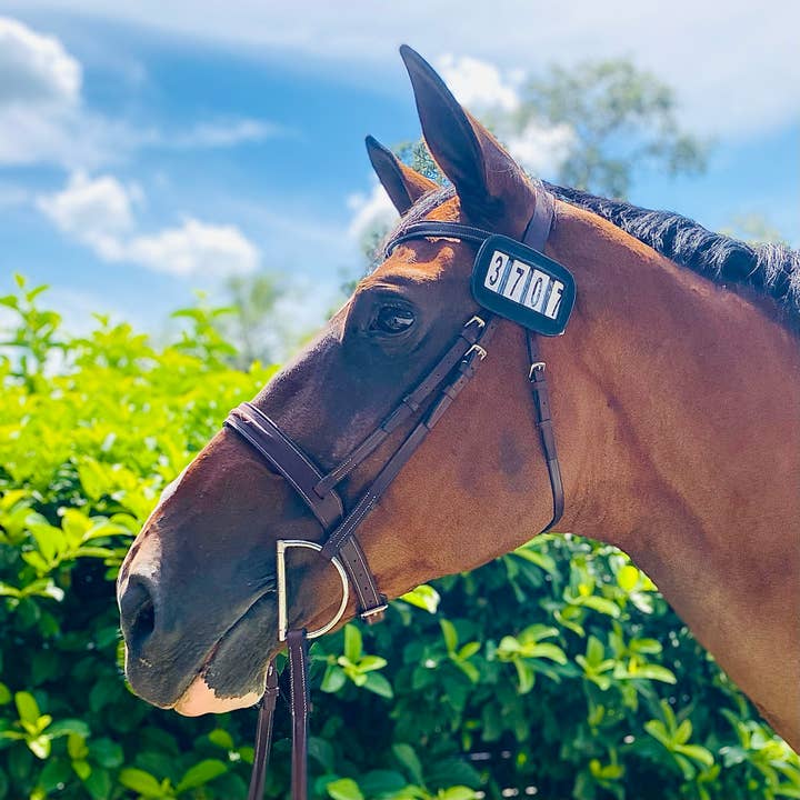 ACE Equestrian – Equipamento de equitação por atacado – PRO4MANCE | # I.D. - Preto (Pacote com 2, 4 dígitos)5