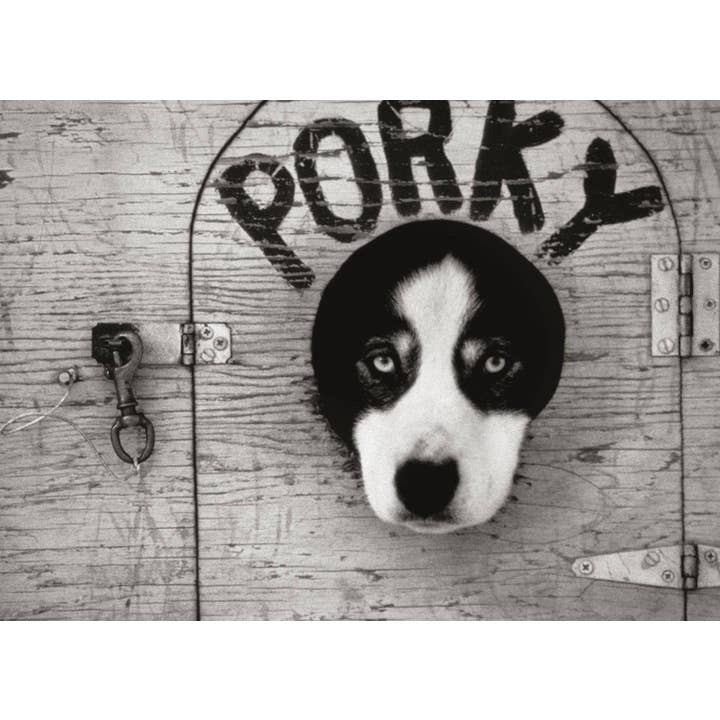 Porky le Cochon pour la vente par Retrospect Greeting Cards