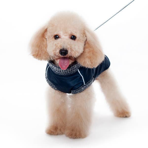Dogo Pet - Wholesale Pet Coat - Dog - Runner Coat Original19