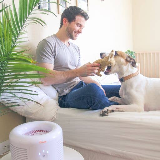 Crane Baby - Wholesale Air Purifier - Air Purifier With HEPA, For Small Rooms8