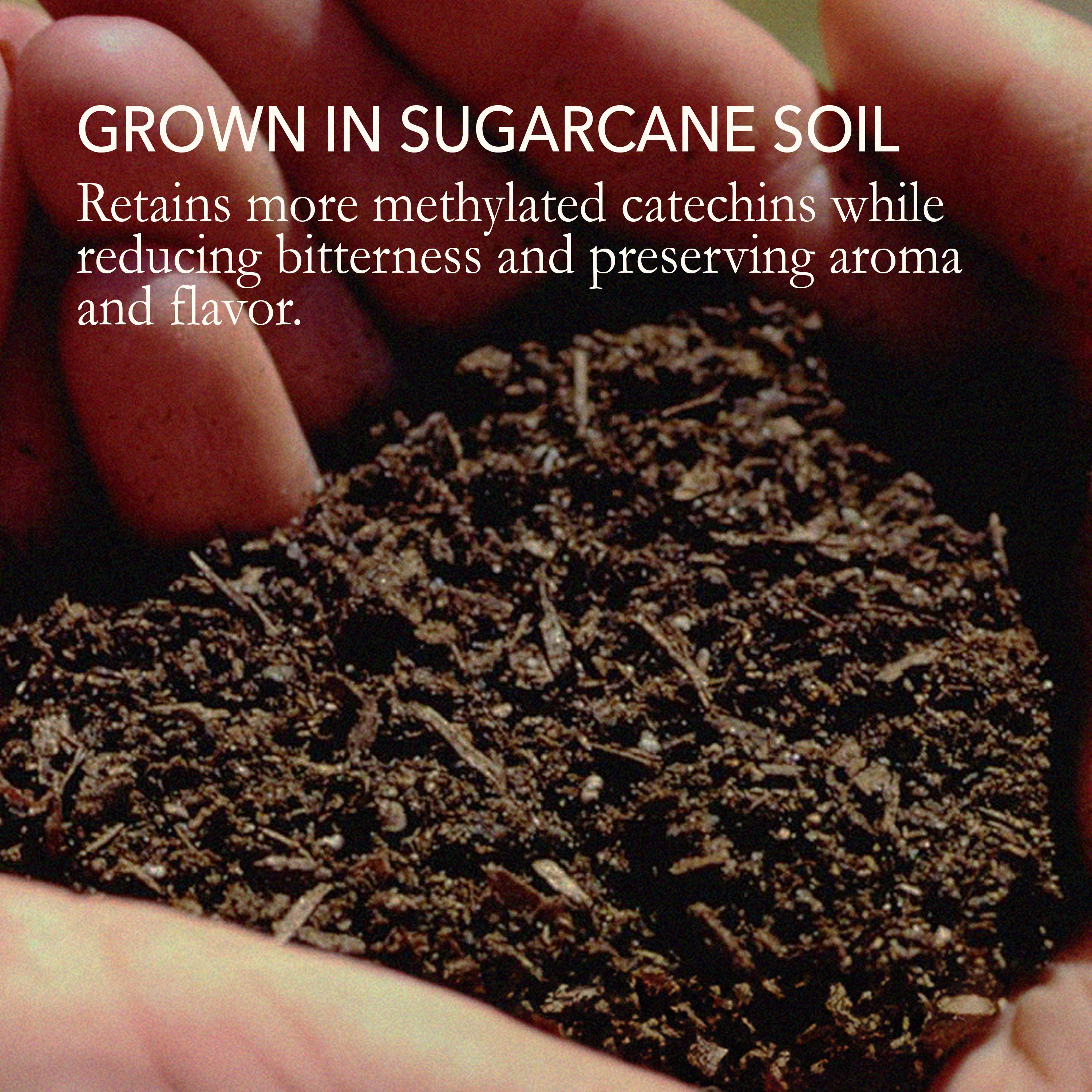 Dream of Japan - Wholesale Hard Candy - Benifuuki - Allergy Relief Japanese Green Tea Candy8